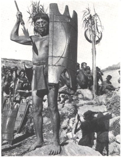 PHILIPPINES BONTOC IGOROT HEADHUNTER WOODEN SHIELD &quot;KALASAG&quot; Headhunting weapon