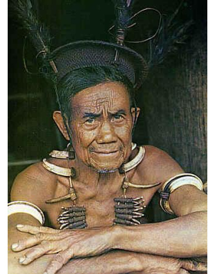 Boar Tusk &amp; Teeth Necklace – Warrior’s Talisman Bontoc Igorot-Inspired Tribal Headhunter Ornament 22